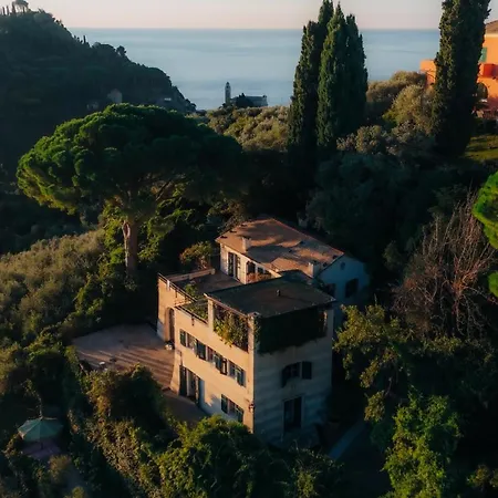 Franca, A Garamonds Portofino